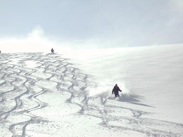 20020308 DSCN2084