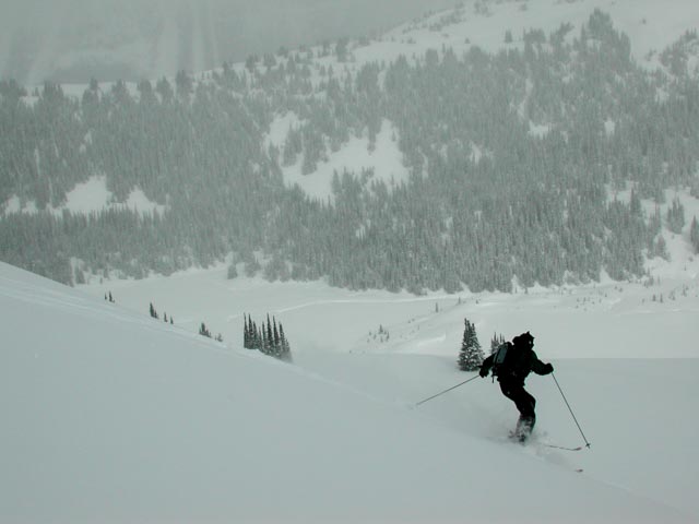 20020308 DSCN2099