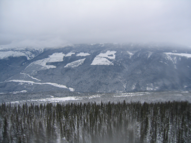 20040307 IMG 1986