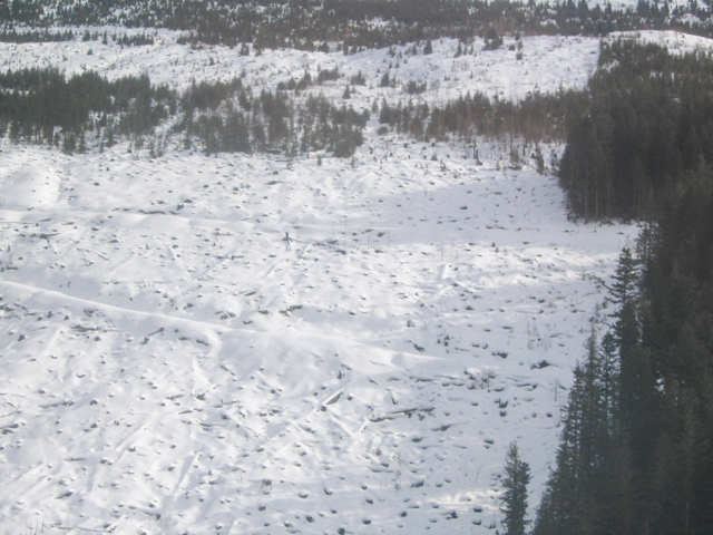20040309 IMG 2078