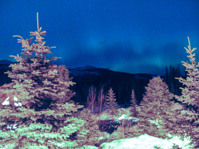 20040309 IMG 2097