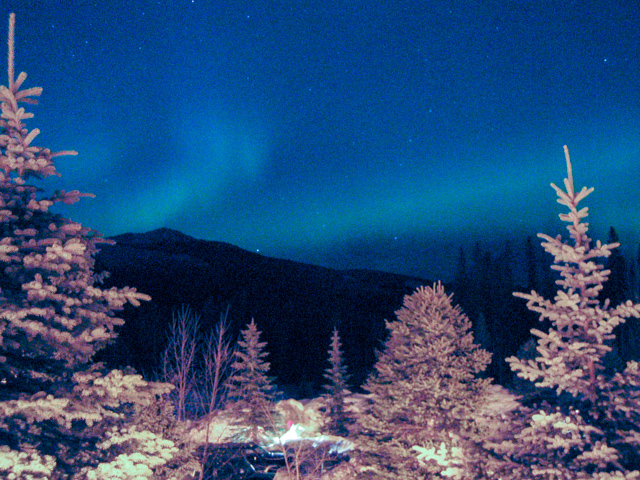 20040309 IMG 2109