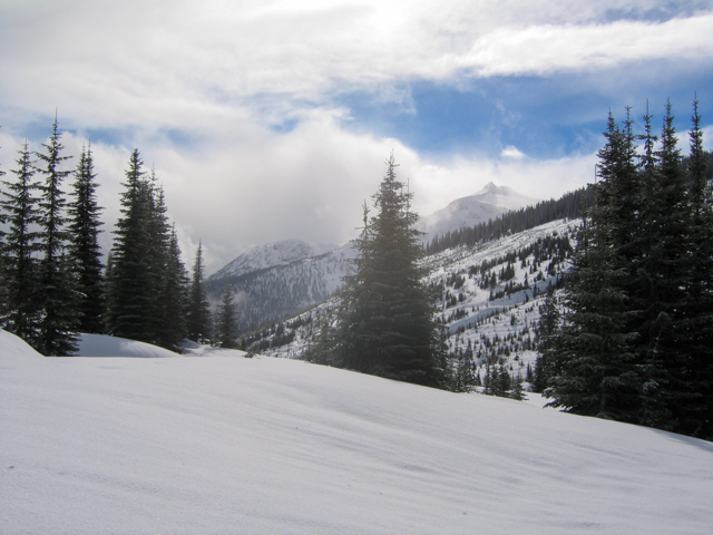 20040312 IMG 2275