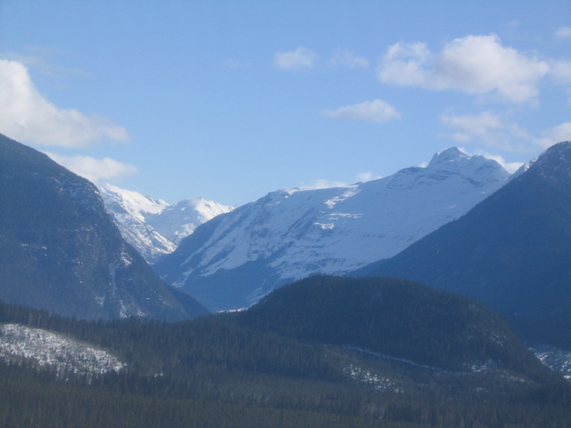 20040313 IMG 2369